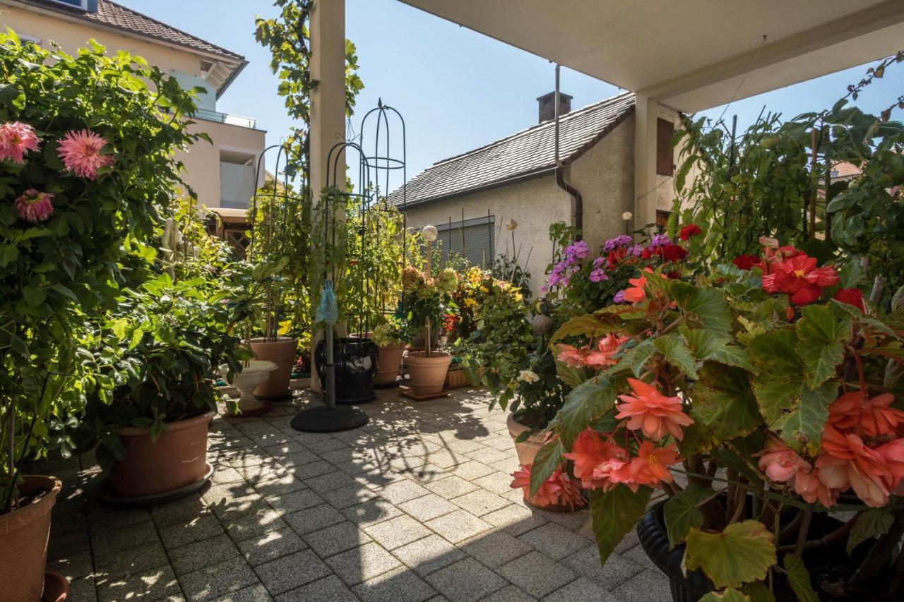 Gruene Oase Apartment Friedrichshafen Exterior photo